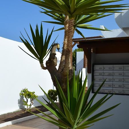 Dunasol 341 By Best Holidays Fuerteventura 科拉雷侯 外观 照片